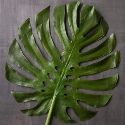 Budget 🛒 6 Pack: Green Monstera Leaf Stem by Ashland® 🔔 -Ashland Sales MP230926 22