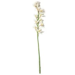 Deals 👏 8 Pack: Cream Boat Orchid Stem by Ashland® 😍 -Ashland Sales MP230929 21