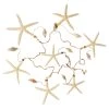 Best reviews of ⭐ 6 Pack: Starfish & Shells Garland by Ashland® ❤️ -Ashland Sales MP233099 31