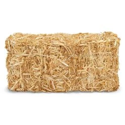 Deals 🛒 12 Pack: 13" Decorative Straw Bale by Ashland® ⌛
