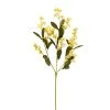 Flash Sale ✔️ 12 Pack: Gold Double Baby's Breath Stem by Ashland® ⭐ -Ashland Sales MP240091