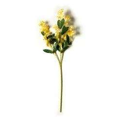 Flash Sale ✔️ 12 Pack: Gold Double Baby's Breath Stem by Ashland® ⭐ -Ashland Sales MP240091 21