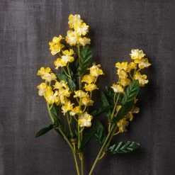 Flash Sale ✔️ 12 Pack: Gold Double Baby's Breath Stem by Ashland® ⭐ -Ashland Sales MP240091 22