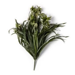 Promo 🌟 12 Pack: Green Spider Bush by Ashland® 😍 -Ashland Sales MP240812 21