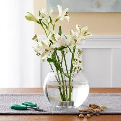 Cheap 👍 12 Pack: Pin Frog by Ashland™ ⌛ -Ashland Sales MP250029 20