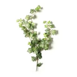 Discount 😉 12 Pack: Green Silk Ivy Spray by Ashland® ⭐ -Ashland Sales MP262975 21