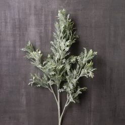 Discount ⌛ 16 Pack: Dusty Miller Stem by Ashland® 🛒 -Ashland Sales MP262981 22