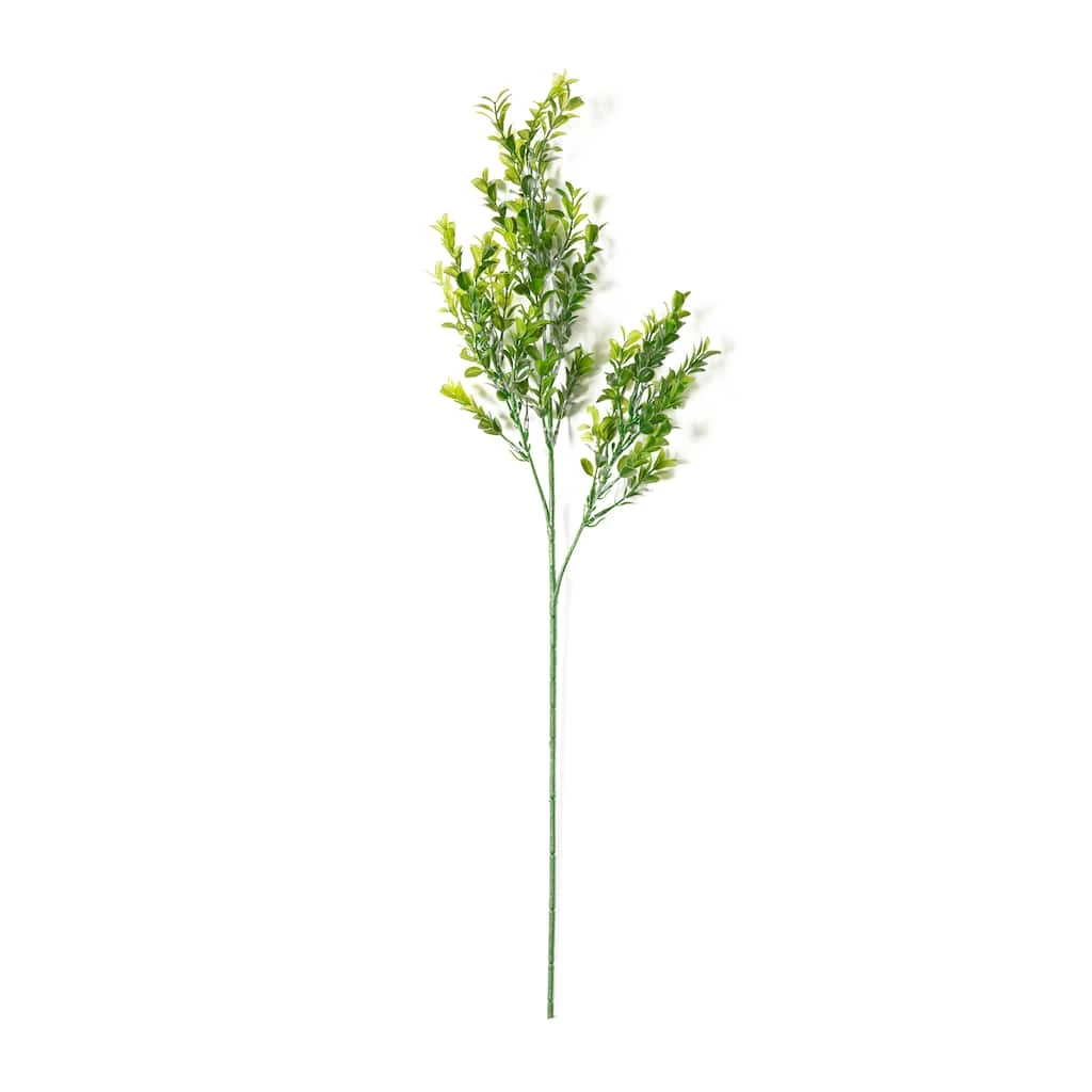 Best Sale ✨ 12 Pack: Sweet Grass Stem by Ashland® ✔️ 6 Best Sale ✨ 12 Pack: Sweet Grass Stem by Ashland® ✔️ - Image 4