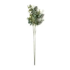 Flash Sale ⌛ 12 Pack: Green Eucalyptus Stem by Ashland® 🤩 -Ashland Sales MP263719 21