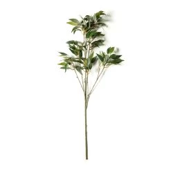 Best Sale 🛒 12 Pack: Green Osmanthus Stem by Ashland® 😉 -Ashland Sales MP263723 21