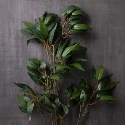 Best Sale 🛒 12 Pack: Green Osmanthus Stem by Ashland® 😉 -Ashland Sales MP263723 22