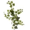 Cheap 😍 12 Pack: Green English Ivy Spray by Ashland® 🥰 -Ashland Sales MP265880 1