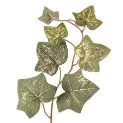 Cheap 😍 12 Pack: Green English Ivy Spray by Ashland® 🥰 -Ashland Sales MP265880 20