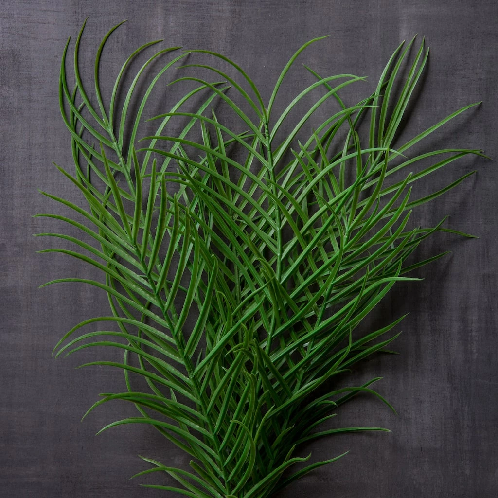 Best Sale 😉 12 Pack: Green Palm Plant Bush by Ashland® 🎁 4 Best Sale 😉 12 Pack: Green Palm Plant Bush by Ashland® 🎁 - Image 2