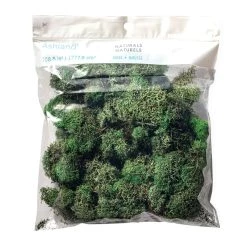 Wholesale 🥰 12 Pack: Basil Green Reindeer Moss by Ashland® 🧨 -Ashland Sales MP284152 20
