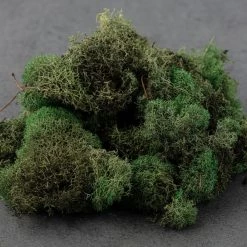 Wholesale 🥰 12 Pack: Basil Green Reindeer Moss by Ashland® 🧨 -Ashland Sales MP284152 21