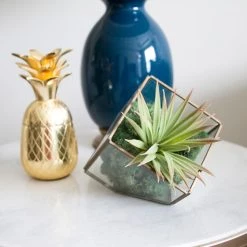 Wholesale 🥰 12 Pack: Basil Green Reindeer Moss by Ashland® 🧨 -Ashland Sales MP284152 3