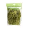 Cheap 😀 12 Pack: Spring Green Reindeer Moss by Ashland® 👍 -Ashland Sales MP284153 1