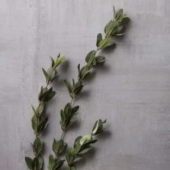 Hot Sale 🤩 12 Pack: Green Huckleberry Leaf Spray by Ashland® ⭐ -Ashland Sales MP292555 22