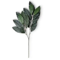 Best deal 🔔 12 Pack: Green Magnolia Leaf Spray Floral Essentials Collection by Ashland® 🎉 -Ashland Sales MP292556 21