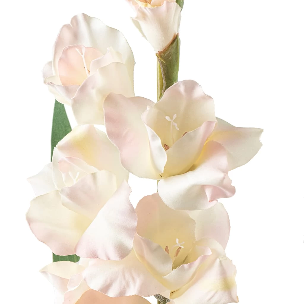 Cheap π― 12 Pack: White Gladiolus Stem by Ashland® π 5 Cheap π― 12 Pack: White Gladiolus Stem by Ashland® π - Image 3