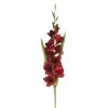 Promo ๐ 12 Pack: Dark Red Gladiolus Stem by Ashland® ๐ 2 Promo ๐ 12 Pack: Dark Red Gladiolus Stem by Ashland® ๐ -Ashland Sales MP297027 1