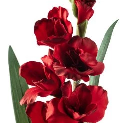 Promo 😉 12 Pack: Dark Red Gladiolus Stem by Ashland® 👏 -Ashland Sales MP297027 20