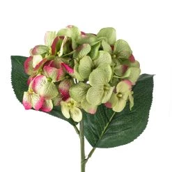Promo 😍 12 Pack: Green Hydrangea Stem by Ashland® 🤩 -Ashland Sales MP297074 20