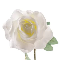Best reviews of 🔥 16 Pack: Ivory Princess Rose Stem by Ashland® 🔥 -Ashland Sales MP297096 20