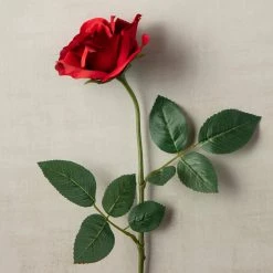 Best reviews of ✔️ 12 Pack: Dark Red Princess Rose by Ashland® ⭐ -Ashland Sales MP297101 25