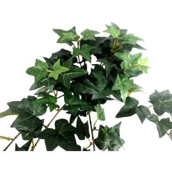 Outlet 🧨 12 Pack: Assorted Mini English Ivy Bush by Ashland® 🎁 -Ashland Sales MP308569 3