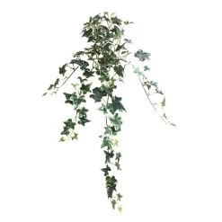 Outlet 🧨 12 Pack: Assorted Mini English Ivy Bush by Ashland® 🎁 -Ashland Sales MP308569 4