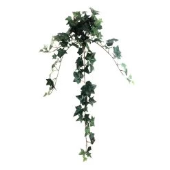 Outlet 🧨 12 Pack: Assorted Mini English Ivy Bush by Ashland® 🎁 -Ashland Sales MP308569 5