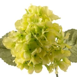 Budget ❤️ 12 Pack: Green Hydrangea Stem by Ashland® 👍 -Ashland Sales MP328156 20