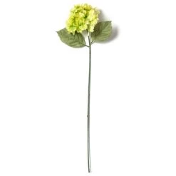 Budget ❤️ 12 Pack: Green Hydrangea Stem by Ashland® 👍 -Ashland Sales MP328156 21