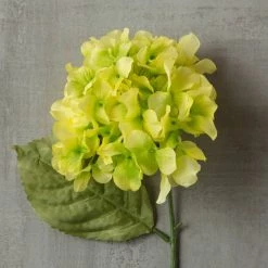 Budget ❤️ 12 Pack: Green Hydrangea Stem by Ashland® 👍 -Ashland Sales MP328156 25