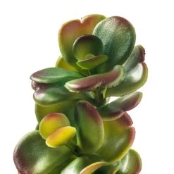 Cheap ⌛ 18 Pack: Green & Orange Succulent Pick by Ashland® 👍 -Ashland Sales MP337814 20