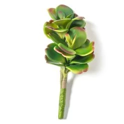 Cheap ⌛ 18 Pack: Green & Orange Succulent Pick by Ashland® 👍 -Ashland Sales MP337814 21