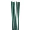 Cheap ⌛ 12 Pack: 16 Gauge Green Stem Wire by Ashland® 🥰 2 Cheap ⌛ 12 Pack: 16 Gauge Green Stem Wire by Ashland® 🥰 -Ashland Sales MP345652 31