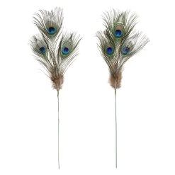 Deals ⭐ 12 Pack: Peacock Feather Picks by Ashland® 😉