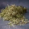 Wholesale 😍 24 Pack: Basil Green Spanish Moss by Ashland® 🥰 2 Wholesale 😍 24 Pack: Basil Green Spanish Moss by Ashland® 🥰 -Ashland Sales MP382824 20