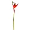 Cheap 🥰 12 Pack: Tropical Bird of Paradise Stem by Ashland® 👍 -Ashland Sales MP390624
