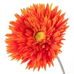 Best Pirce ✨ 12 Pack: Orange Spider Gerbera Daisy Spray by Ashland® ✔️ 13 Best Pirce ✨ 12 Pack: Orange Spider Gerbera Daisy Spray by Ashland® ✔️ -Ashland Sales MP392668 20