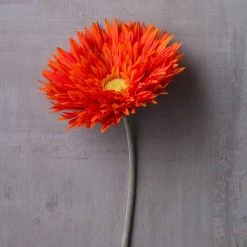 Best Pirce ✨ 12 Pack: Orange Spider Gerbera Daisy Spray by Ashland® ✔️ 12 Best Pirce ✨ 12 Pack: Orange Spider Gerbera Daisy Spray by Ashland® ✔️ -Ashland Sales MP392668 22