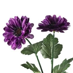 New ✔️ 12 Pack: Purple Zinnia Mum Spray by Ashland® 🧨 9 New ✔️ 12 Pack: Purple Zinnia Mum Spray by Ashland® 🧨 -Ashland Sales MP392967 20
