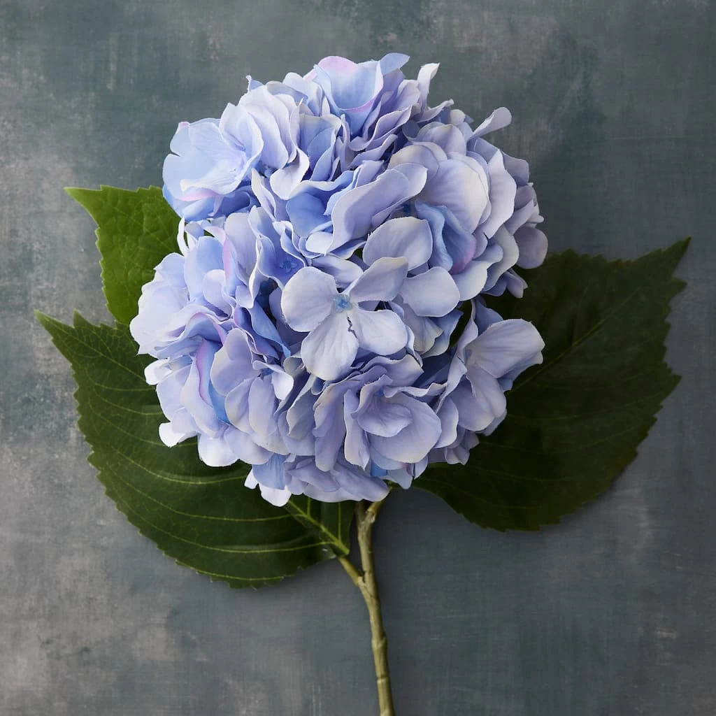 New 👍 12 Pack: Blue Hydrangea Stem by Ashland® ❤️ 4 New 👍 12 Pack: Blue Hydrangea Stem by Ashland® ❤️ - Image 2