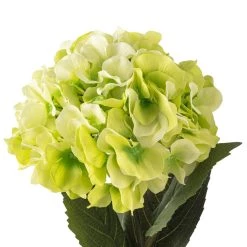 Top 10 😀 12 Pack: Green Hydrangea Stem by Ashland® 💯 -Ashland Sales MP400667 20
