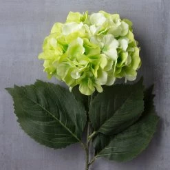 Top 10 😀 12 Pack: Green Hydrangea Stem by Ashland® 💯 -Ashland Sales MP400667 22