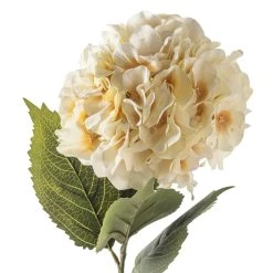 Best deal 🛒 12 Pack: Cream Hydrangea Stem by Ashland® 😍 -Ashland Sales MP400668 20