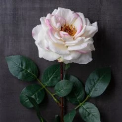 Best deal 🛒 12 Pack: Cream Hydrangea Stem by Ashland® 😍 -Ashland Sales MP400668 22